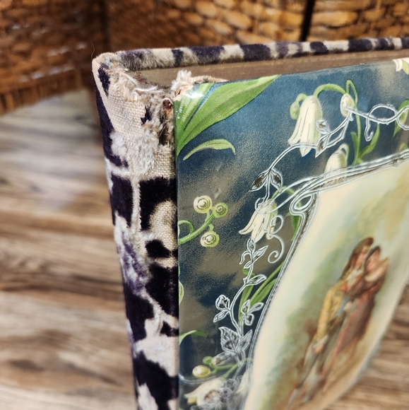 Vtg Victorian Lady & Man CELLULOID PHOTO ALBUM Scrapbook Velvet  Gold Hardware - Picture 3 of 16